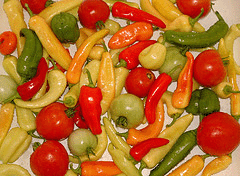 Peppers and Tomatoes for Salsa by Suzi Jane