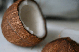 Split Coconut by Bionicteaching